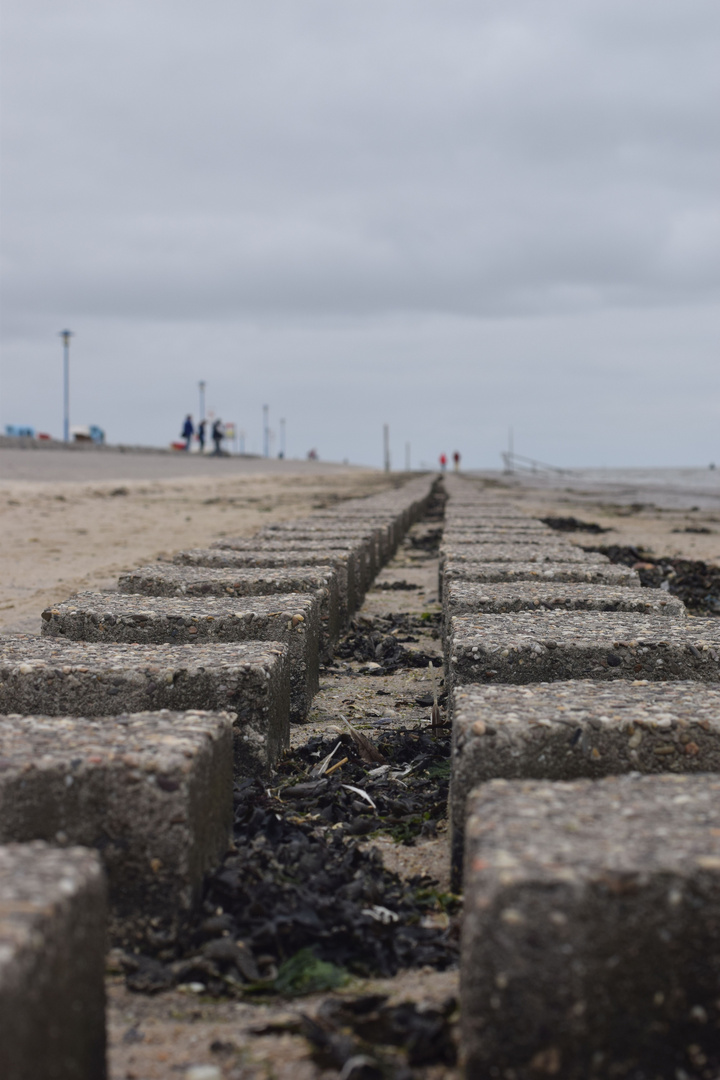 Der Weg am Meer 