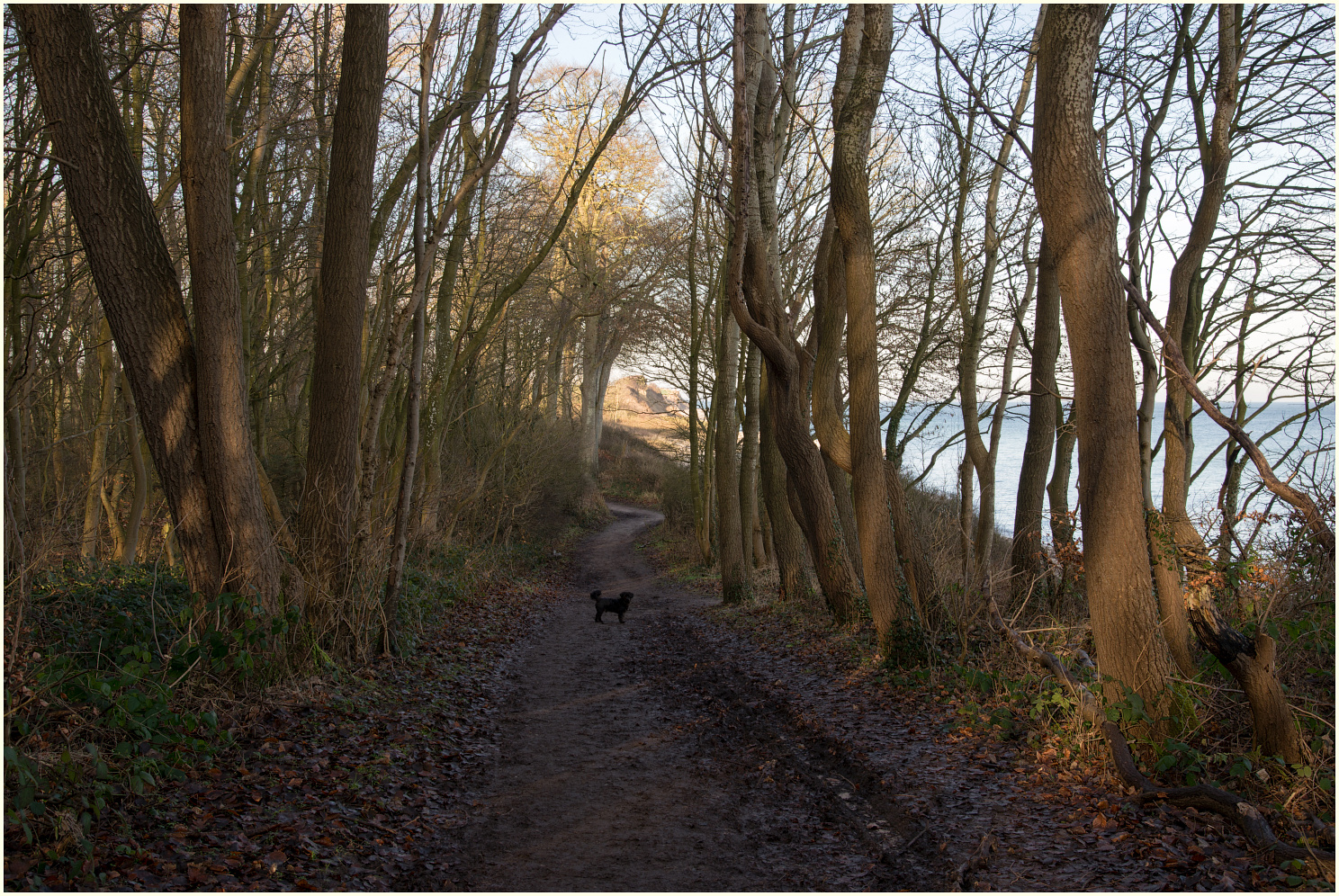 Der Weg am Meer