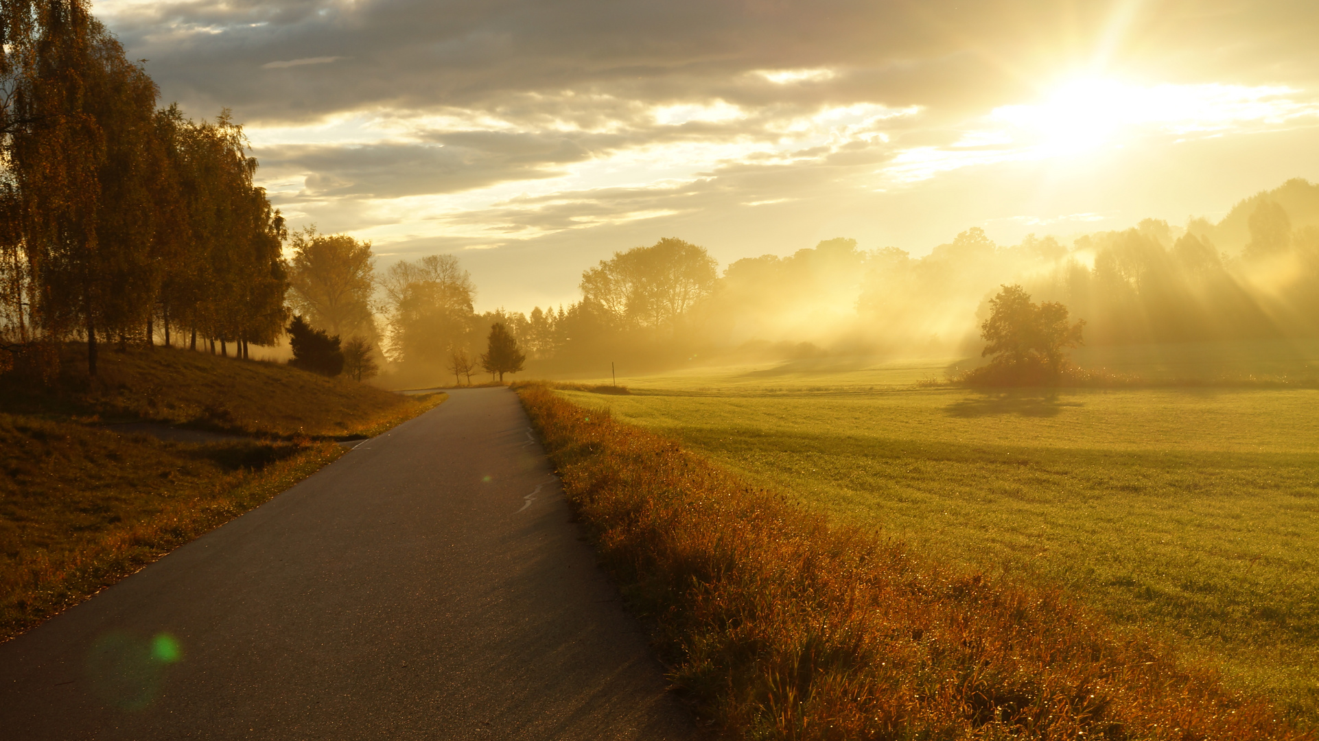 der Weg am Morgen