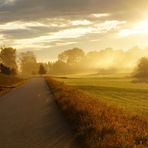 der Weg am Morgen