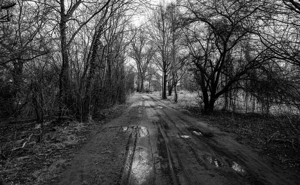 Der Weg am Rhein