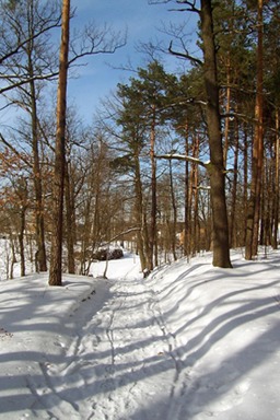 Der Weg am Schulberg