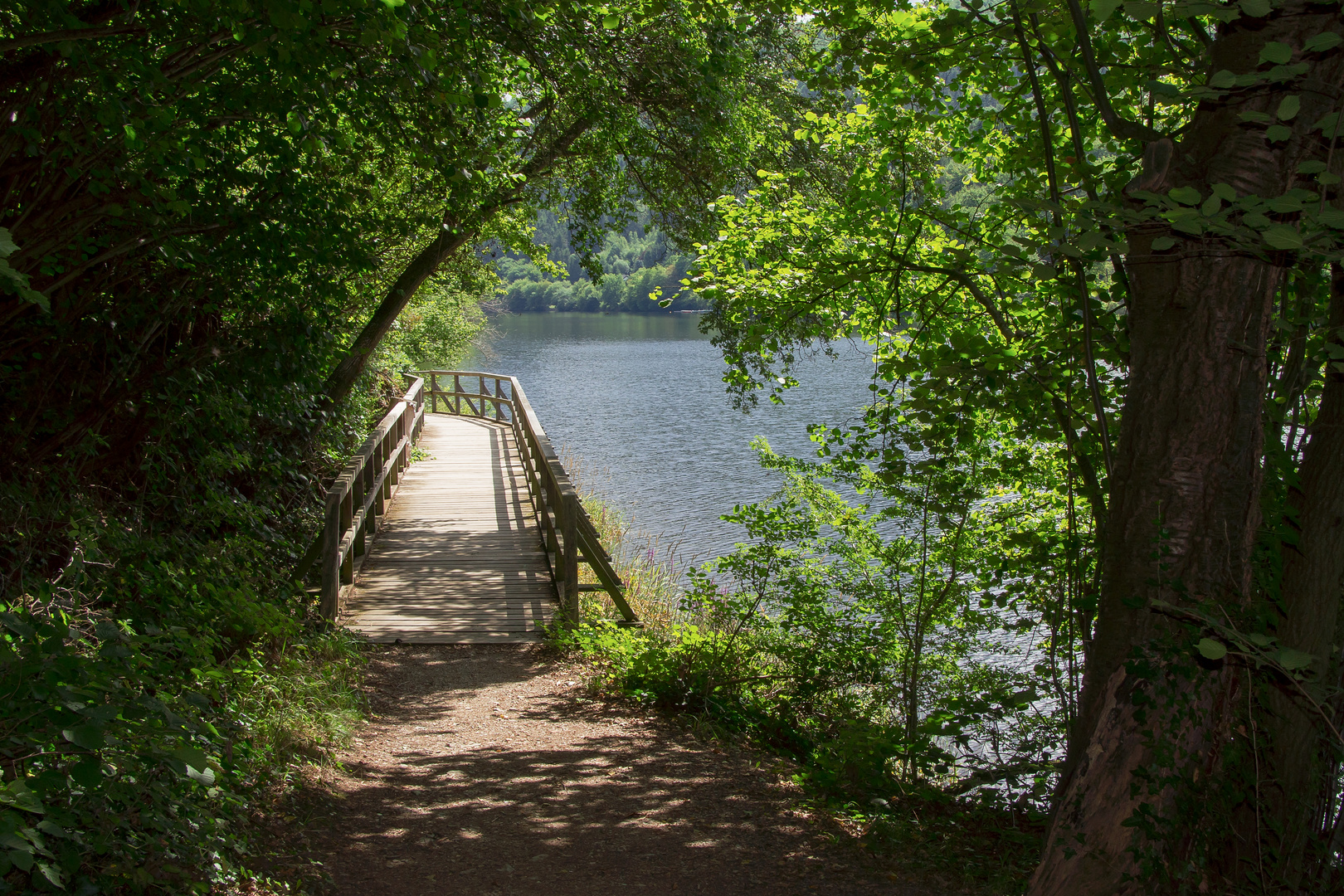 Der Weg am See