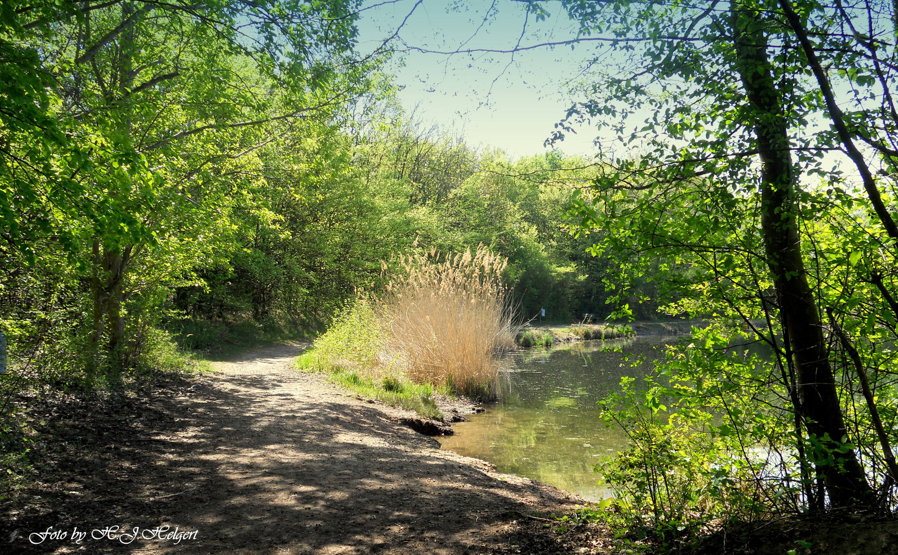 Der Weg am See