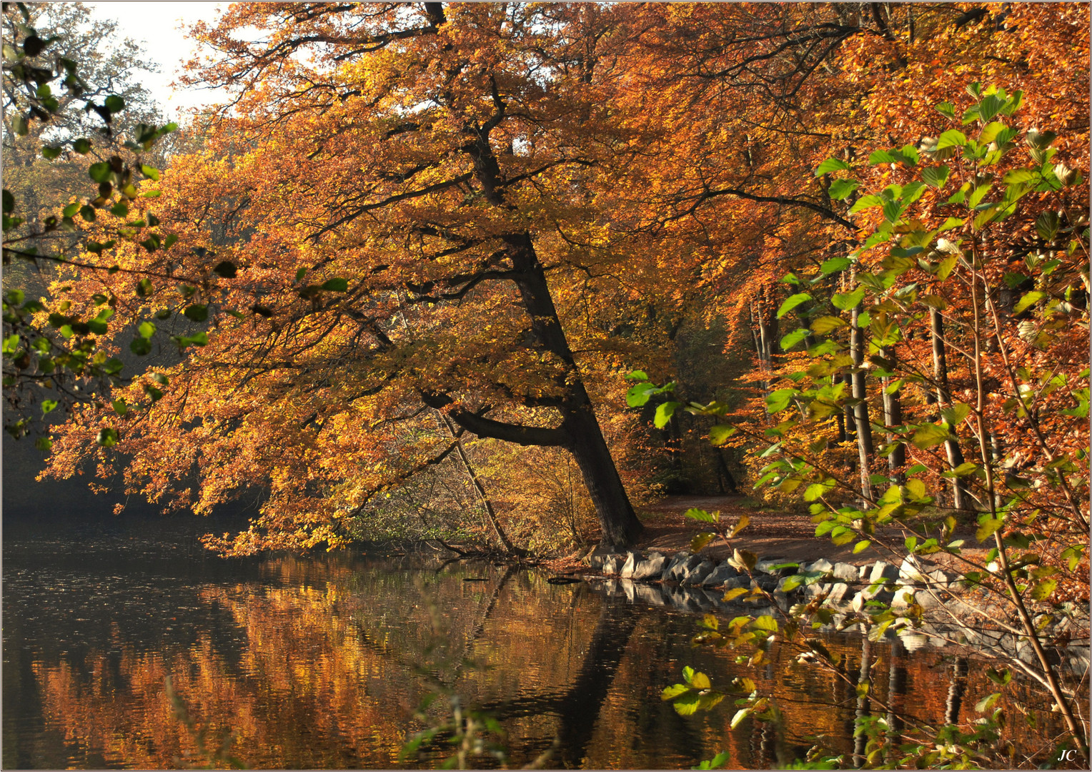 Der Weg am See # El camino del lago