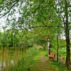 Der Weg am Teich