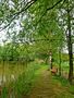 Der Weg am Teich von Sigrun Pfeifer 