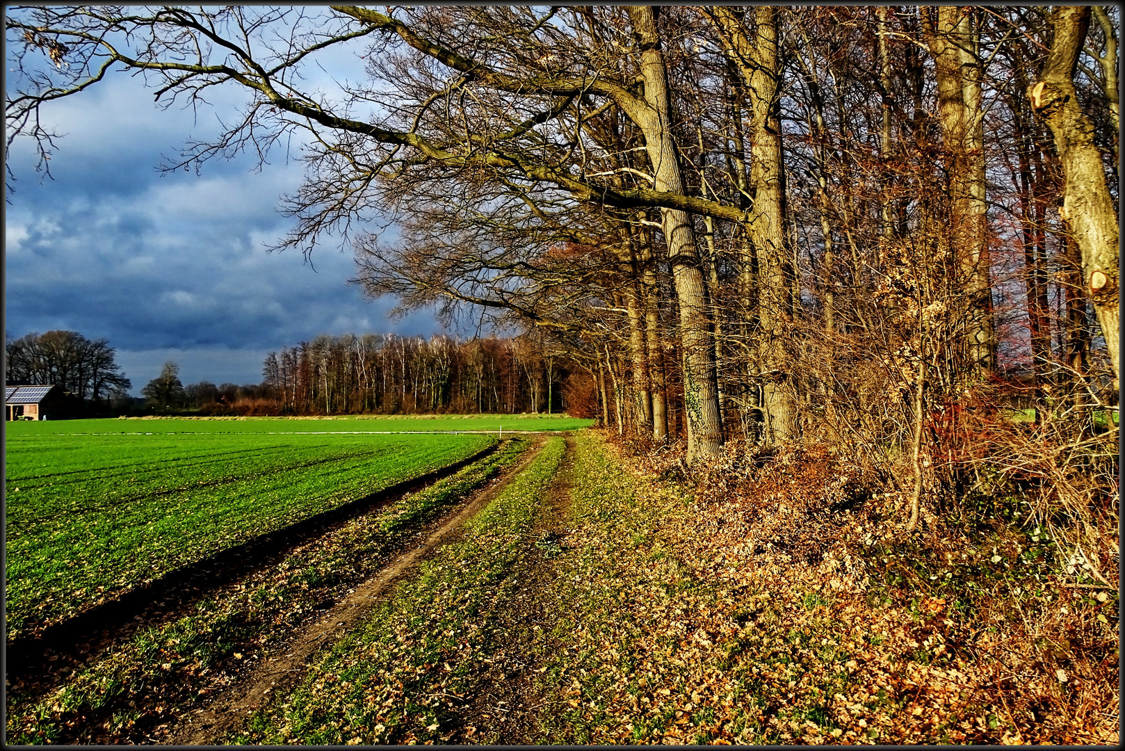 Der Weg am Wald entlang