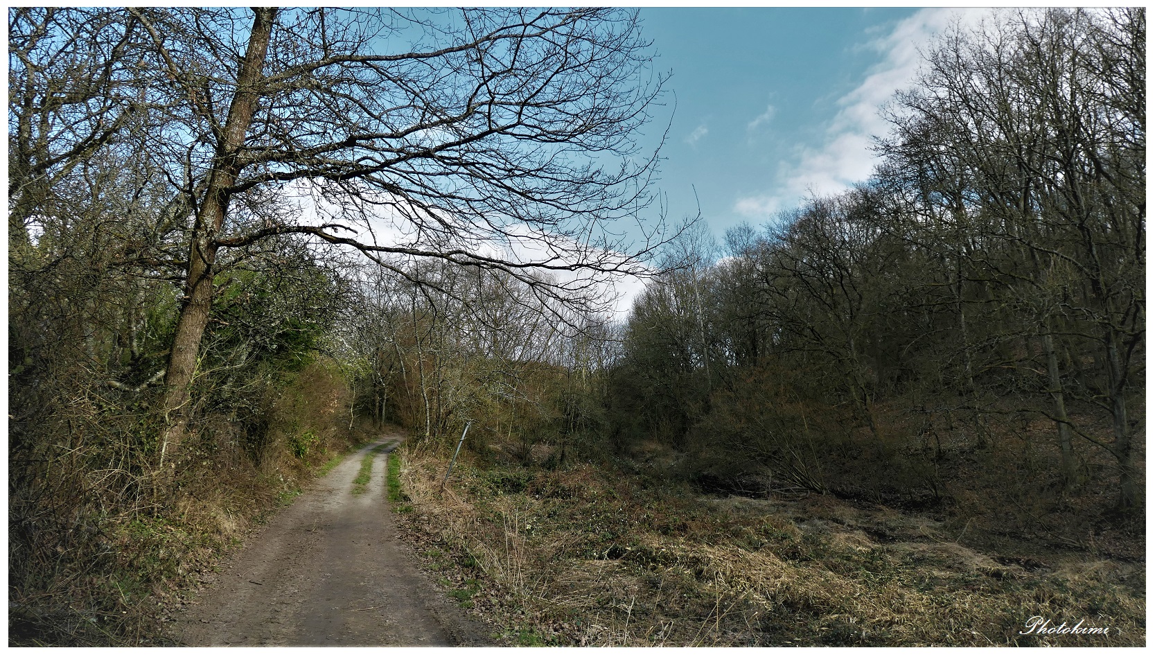 Der Weg am Waldrand.