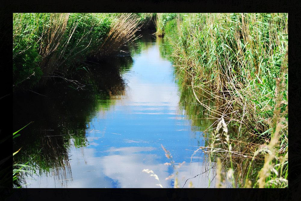 Der Weg am Wasser..