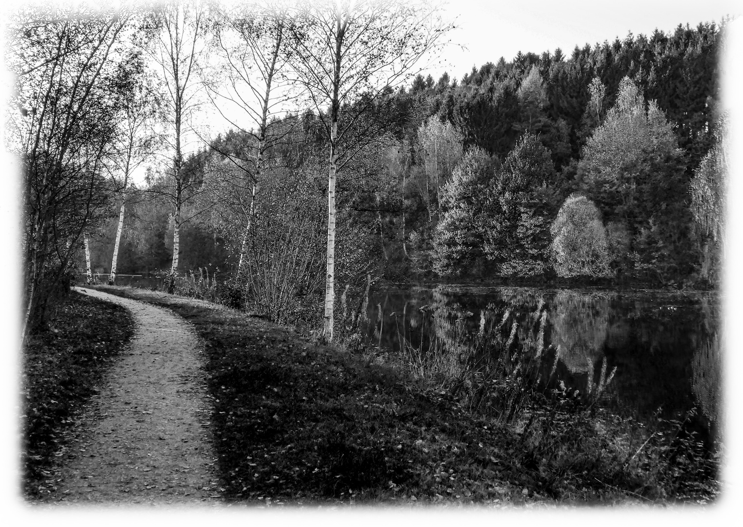 der Weg am Wasser