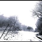 Der Weg auf dem Weinberg