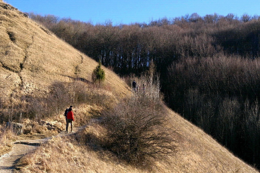 Der Weg auf den Jusi (II)