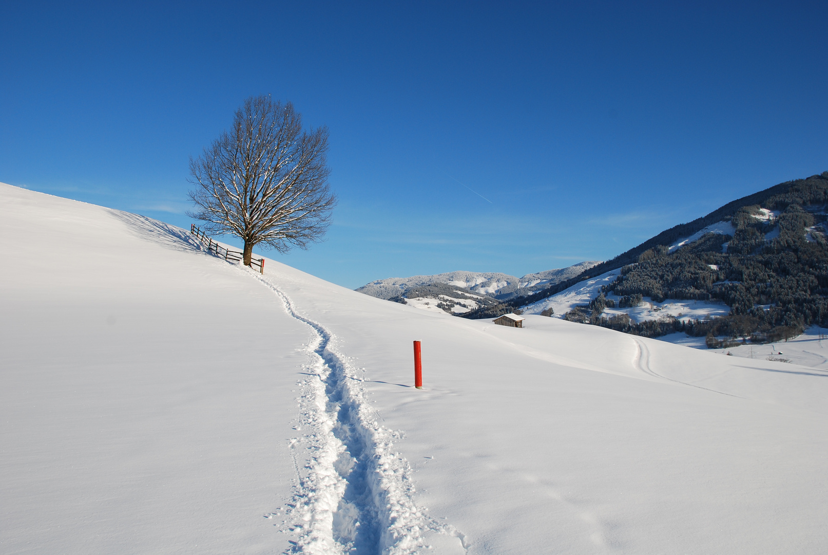 Der Weg auf den Kühbichl