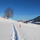 Der Weg auf den Kühbichl