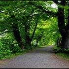 Der Weg auf der Soester Stadtmauer