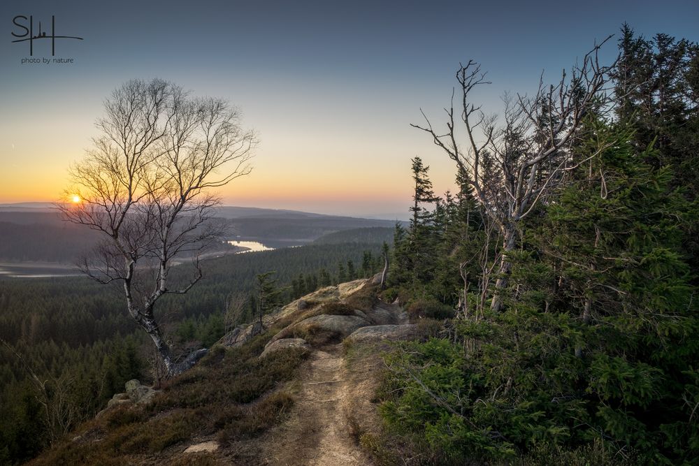 Der Weg auf Scharfenstein