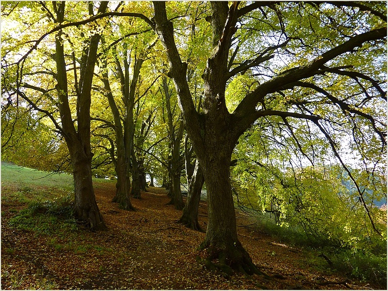 Der Weg aus dem Dunkel