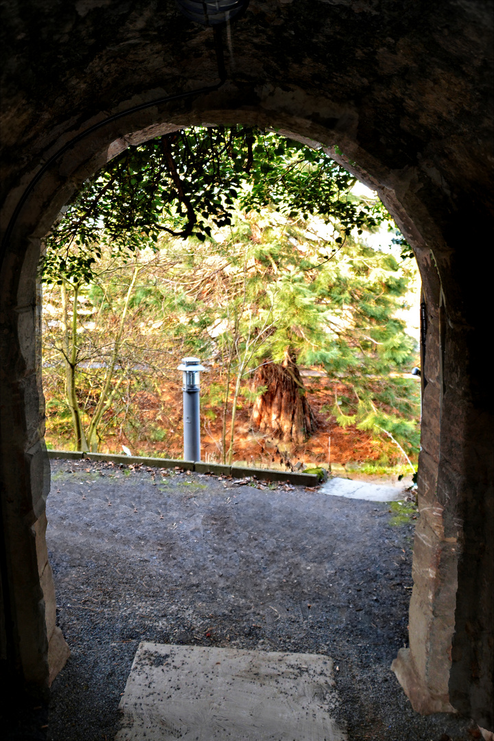 Der Weg aus dem Dunkel ins Licht