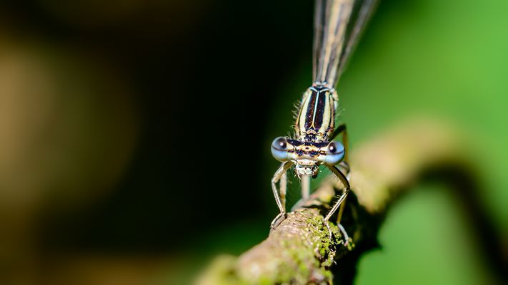 Der Weg aus dem Jetzt