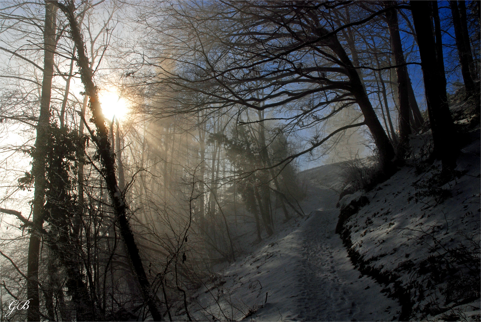 Der weg aus dem Nebel