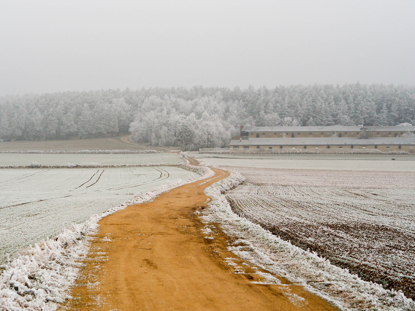 Der Weg