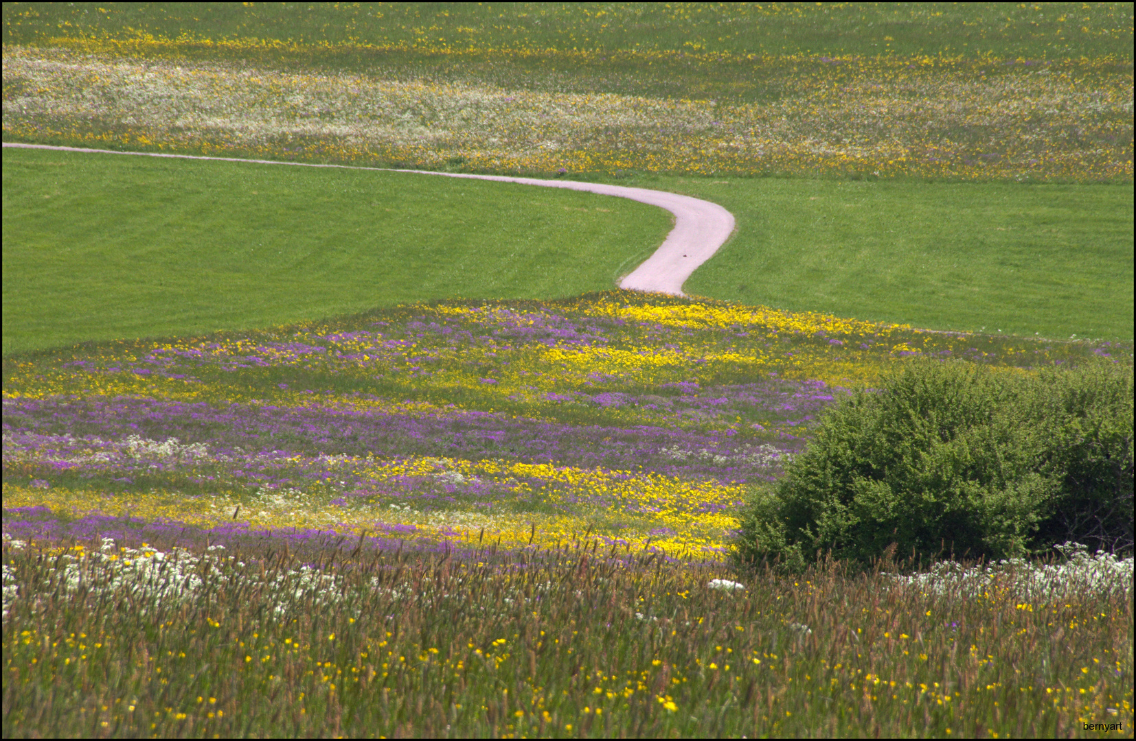 Der Weg