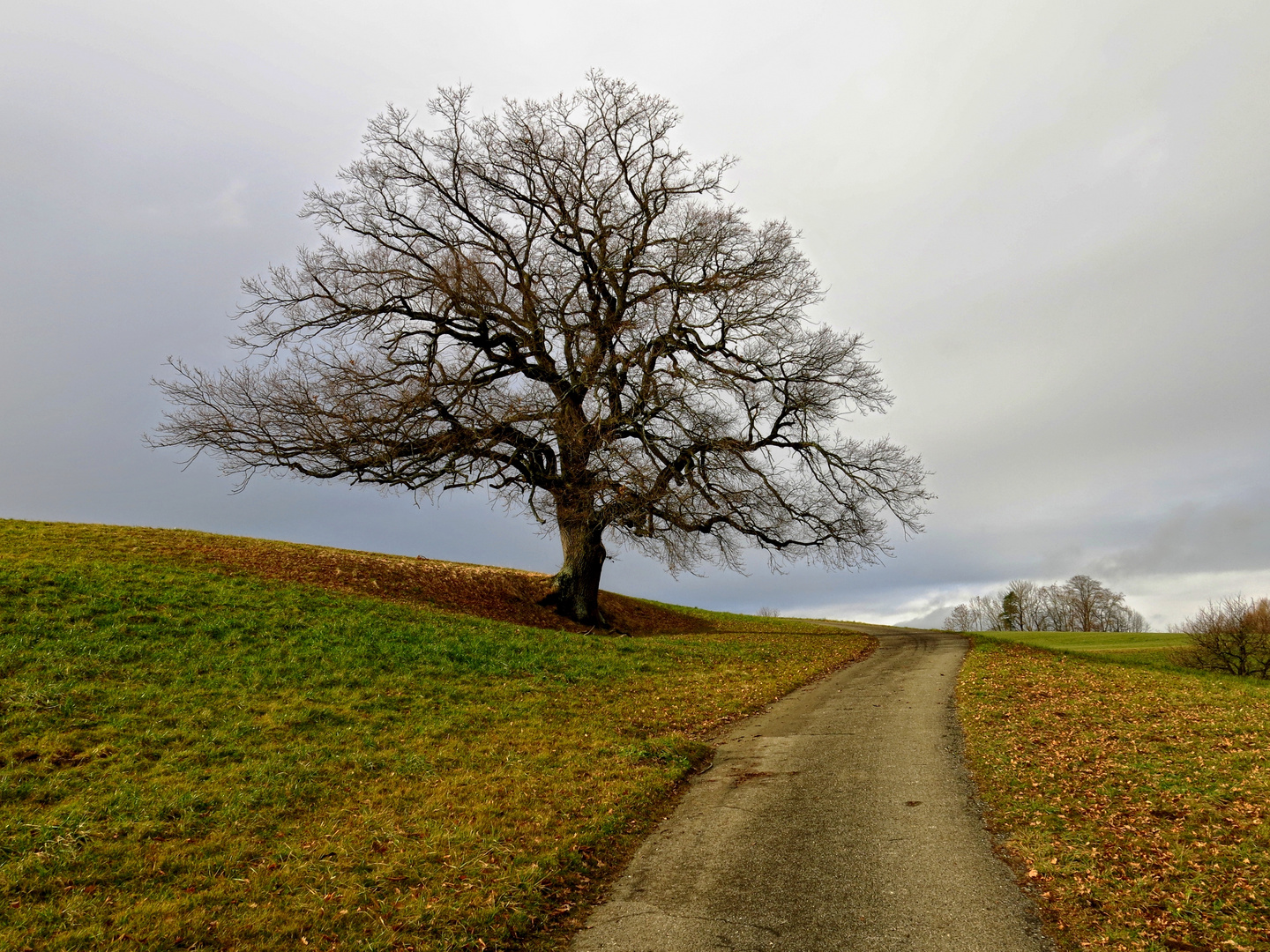 "Der Weg...