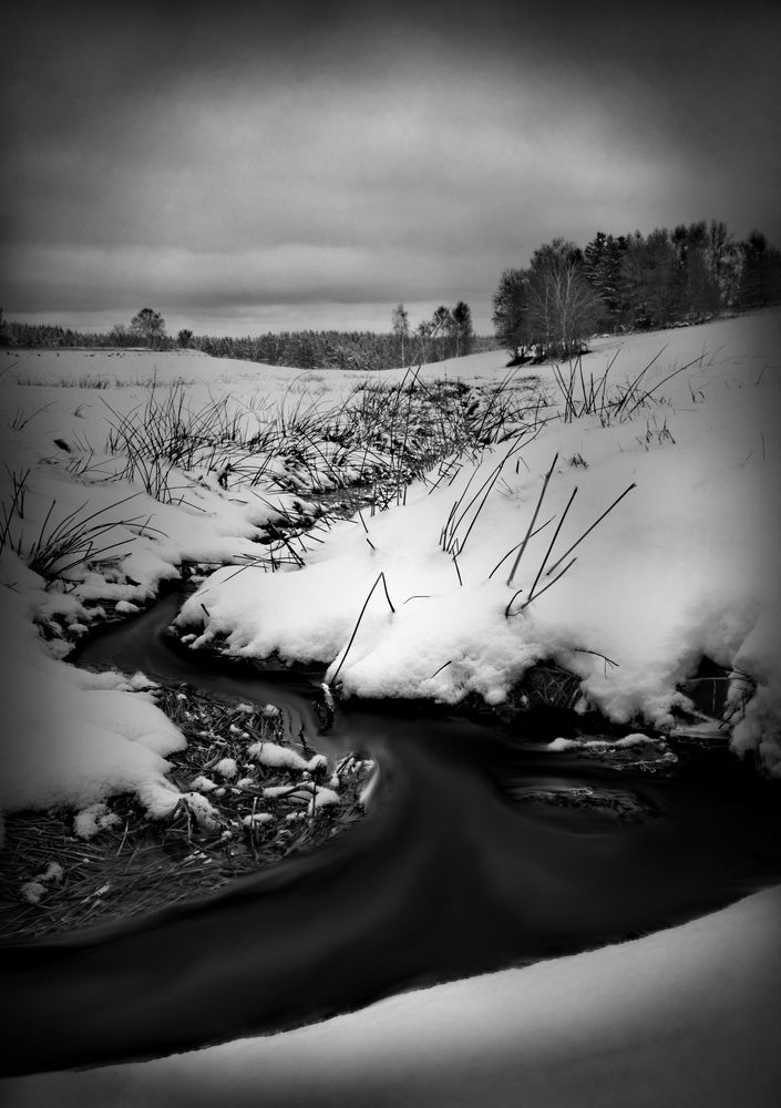 Der Weg beginnt