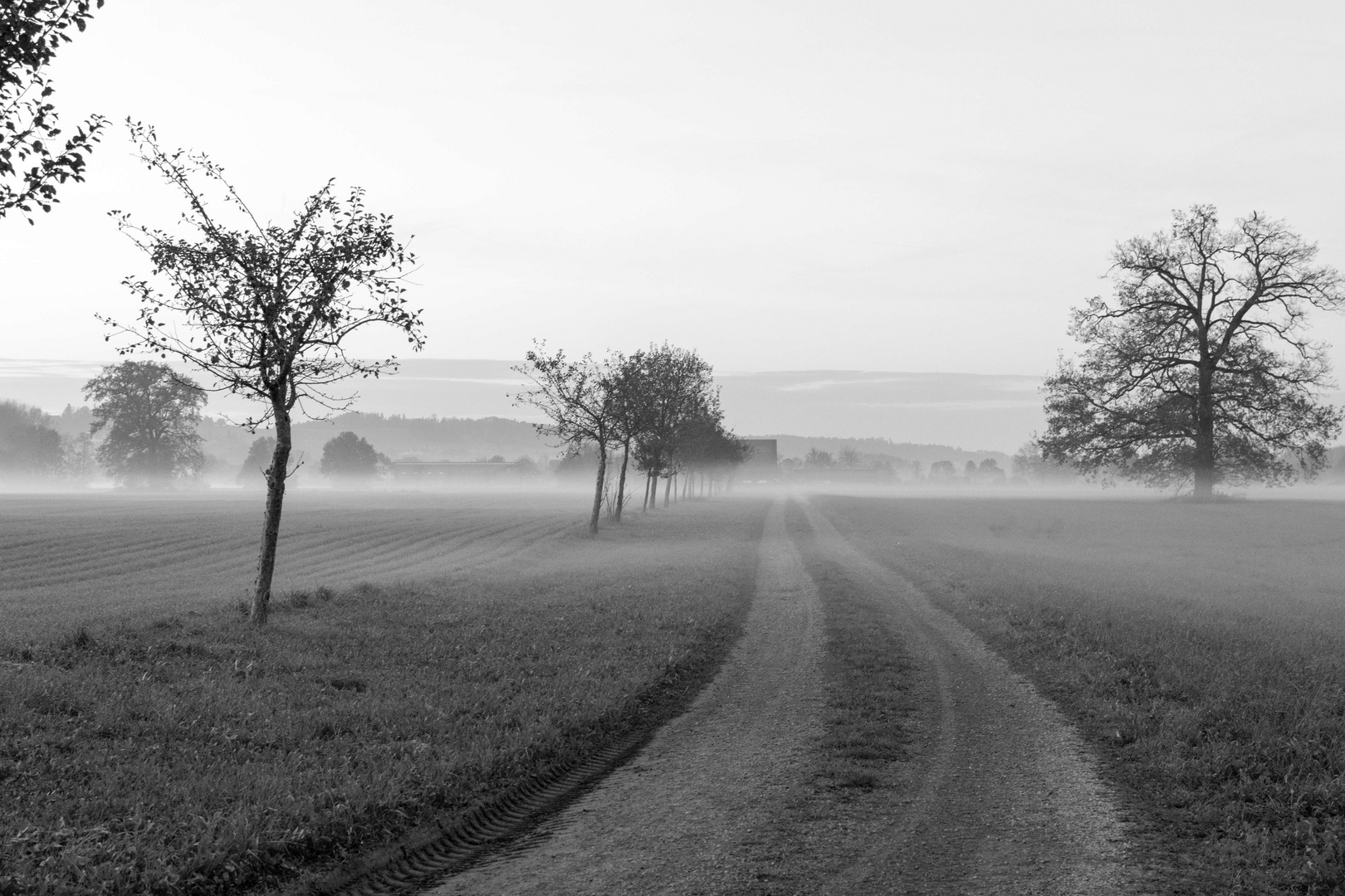 Der Weg...