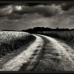 Der Weg....