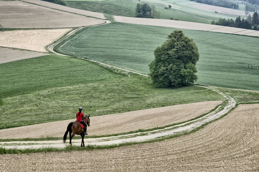 Der Weg ...