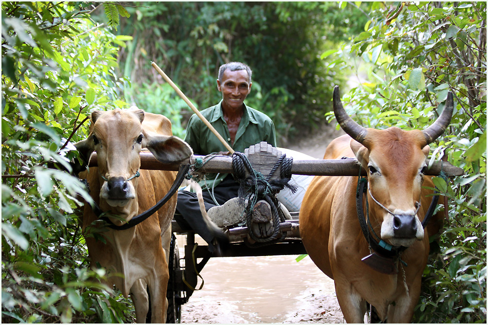 Der Weg- Cambodia