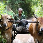 Der Weg- Cambodia