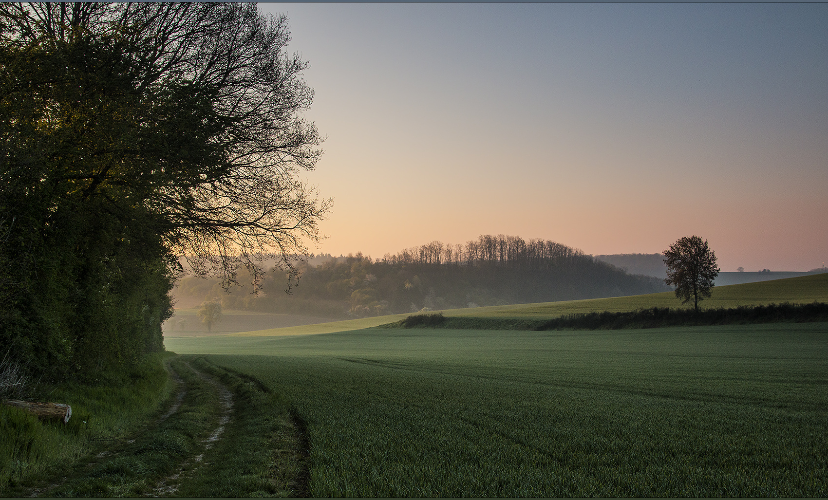 Der Weg