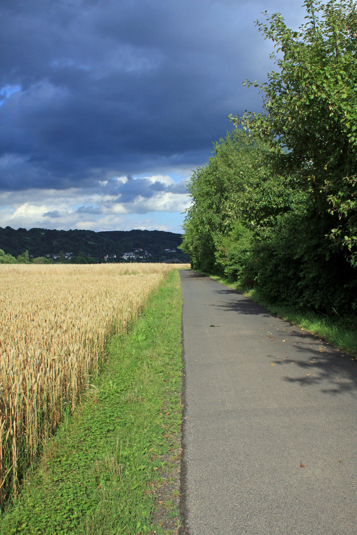 Der Weg