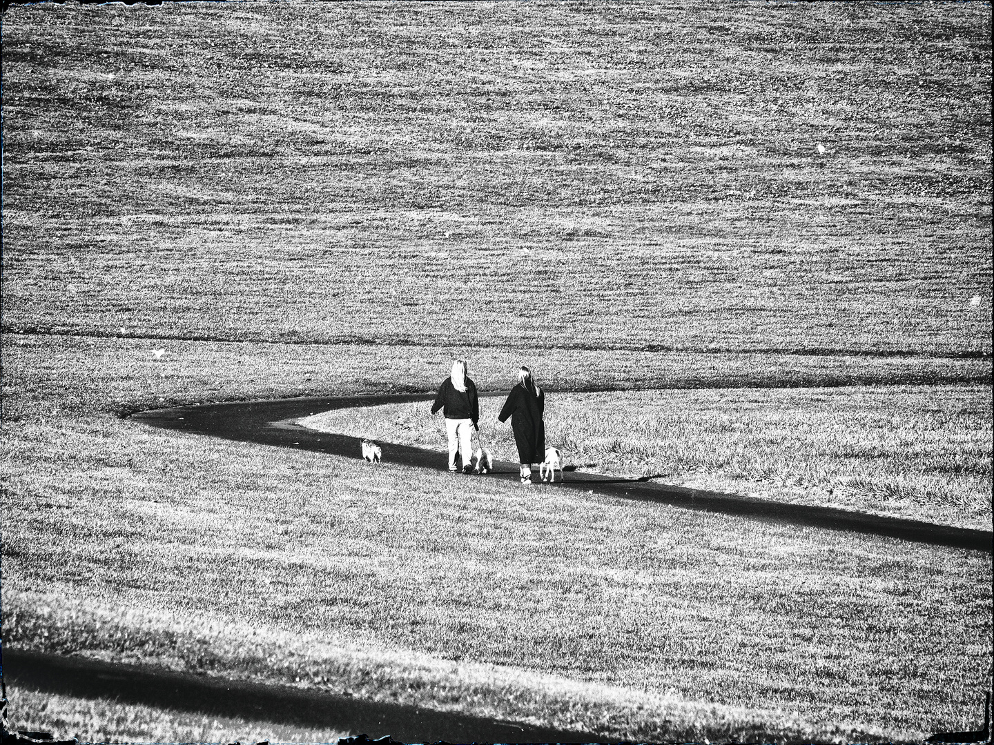 ... der weg ... das ziel ... die elbe