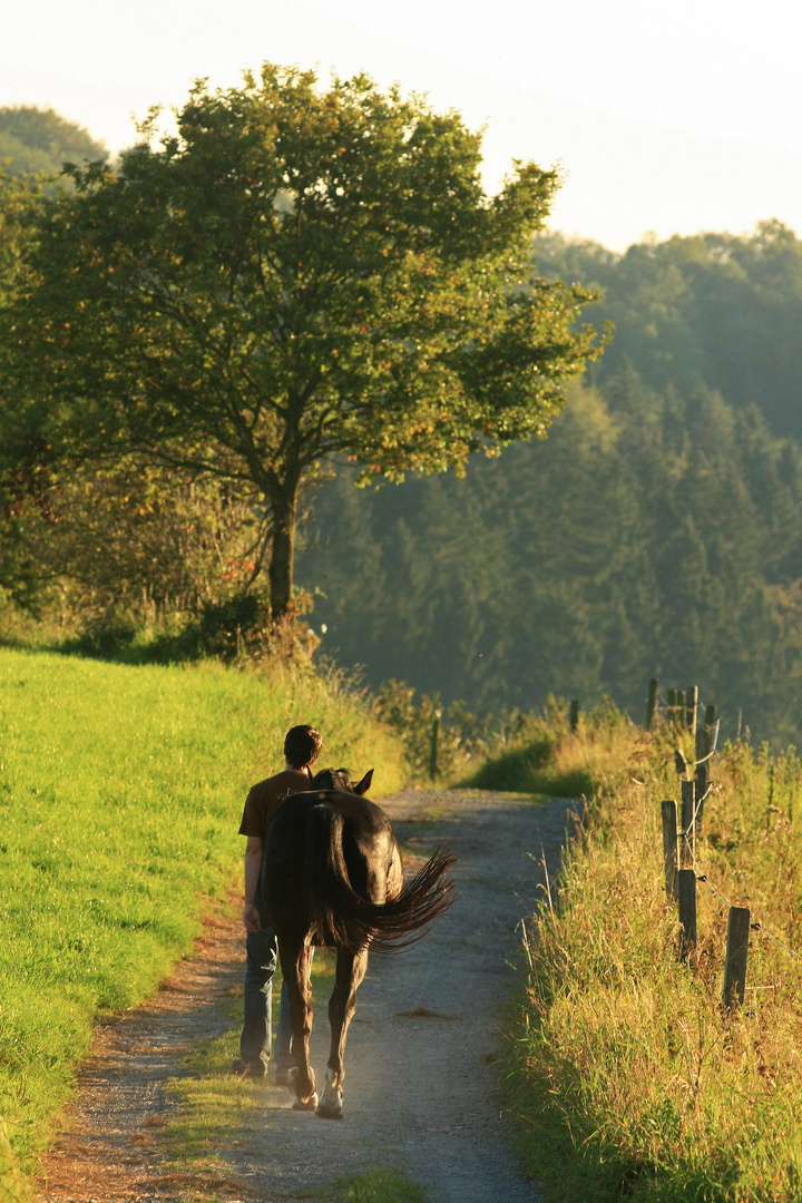 Der Weg