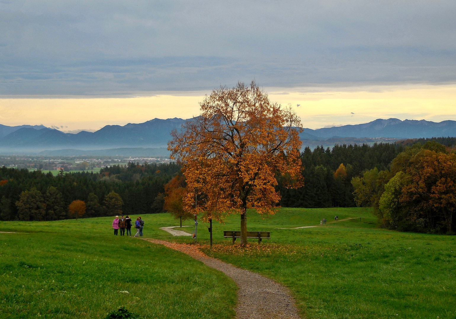 Der Weg, der Baum, die Berge, der Sonnenuntergang