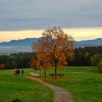 Der Weg, der Baum, die Berge, der Sonnenuntergang