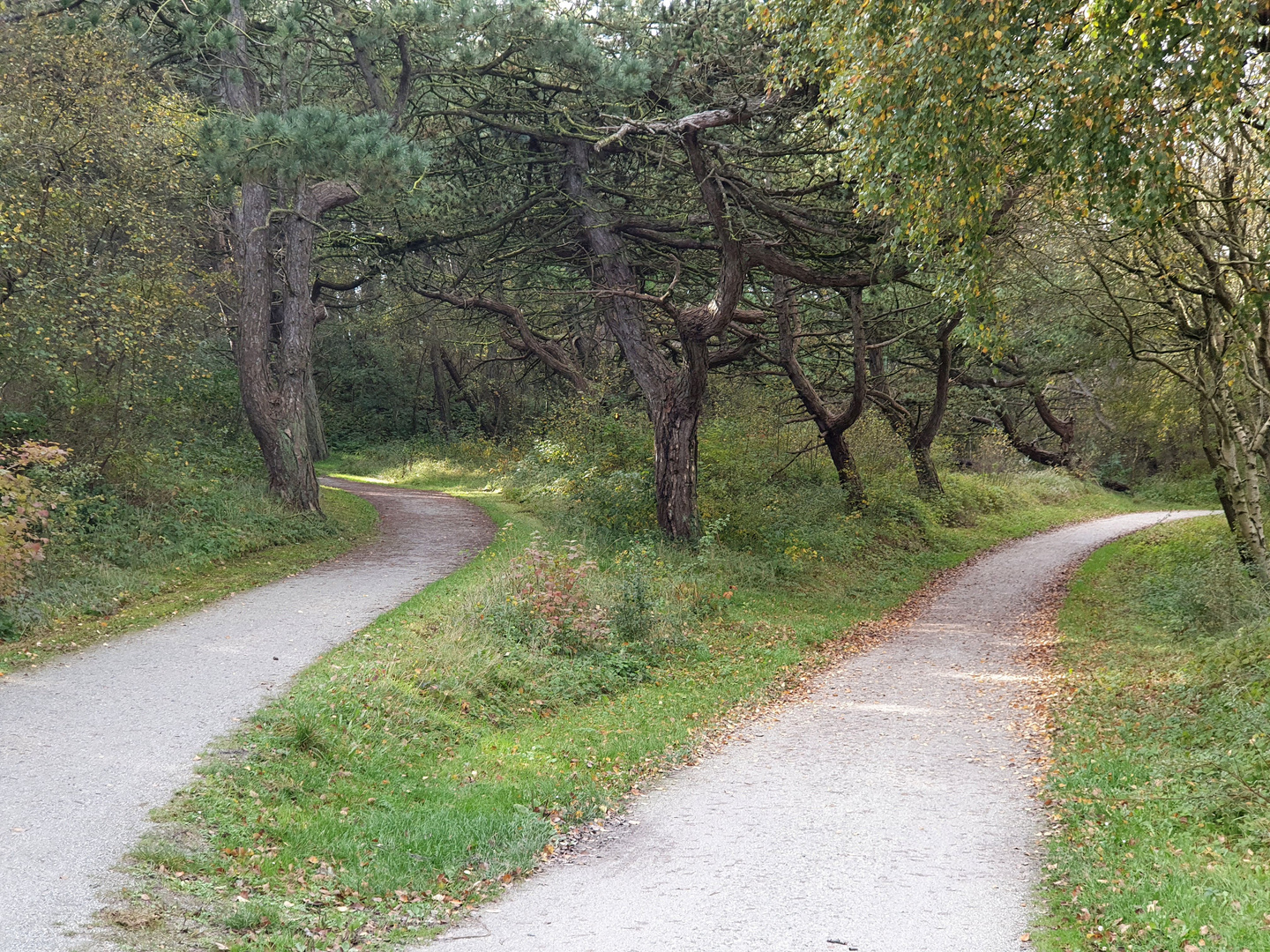 Der Weg der Entscheidung