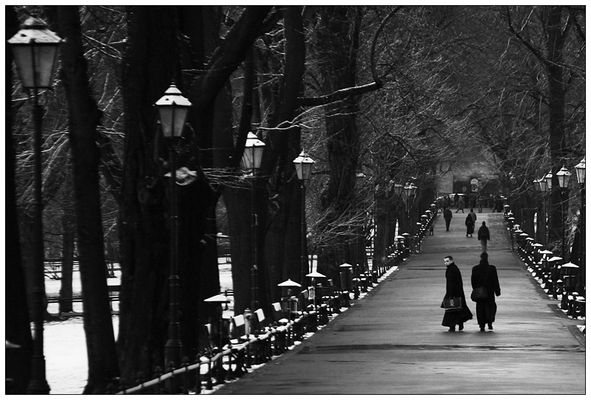 der weg der erleuchtung