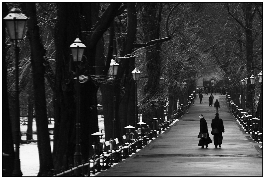 der weg der erleuchtung