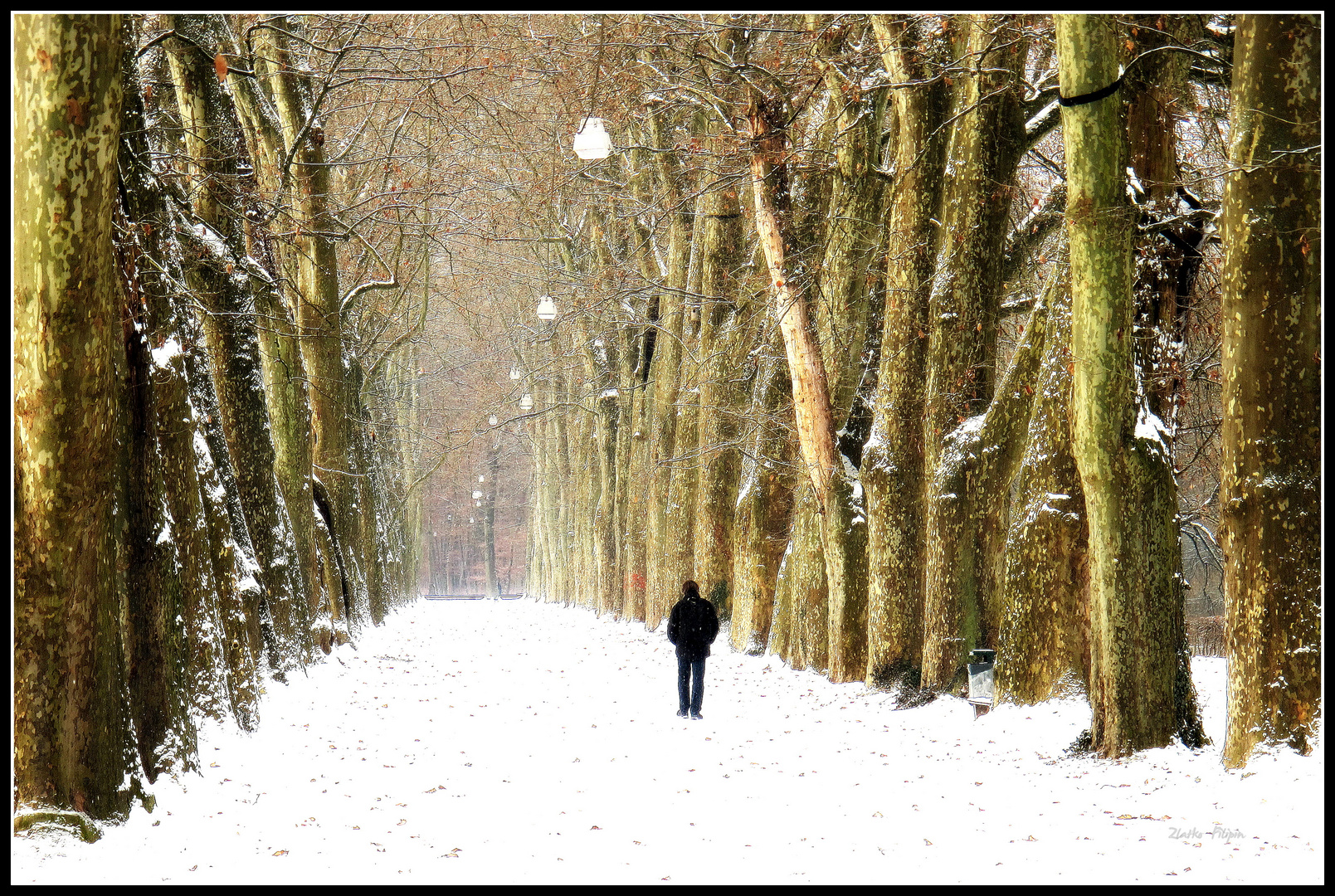 *** Der Weg der Gedanken ***