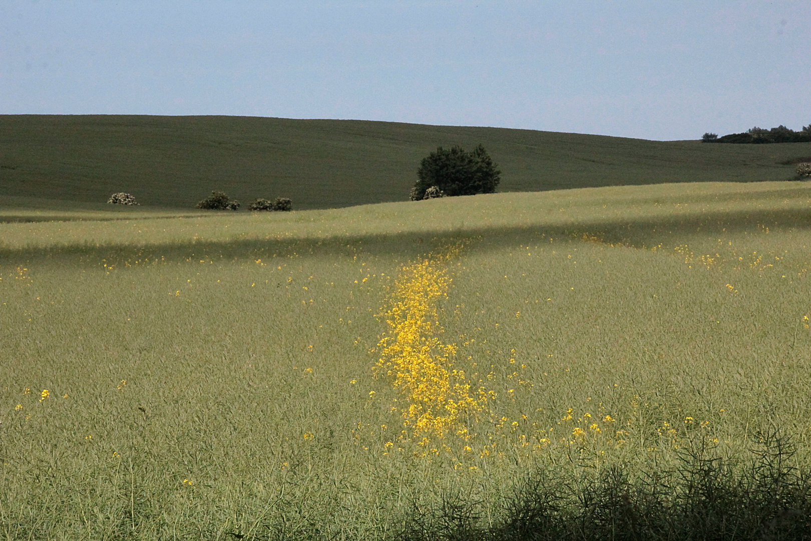 Der Weg der Goldmarie