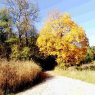 Der Weg der Herbstmalerei
