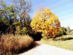 Der Weg der Herbstmalerei