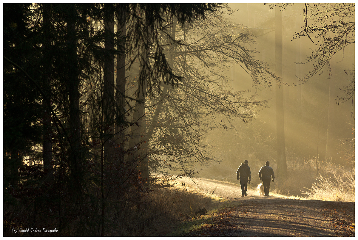 Der Weg der ins Licht führt