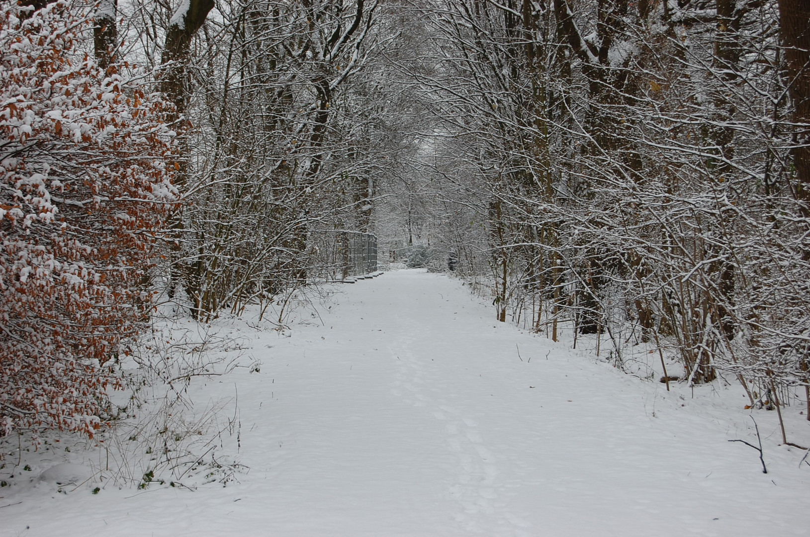 Der Weg der Ruhe