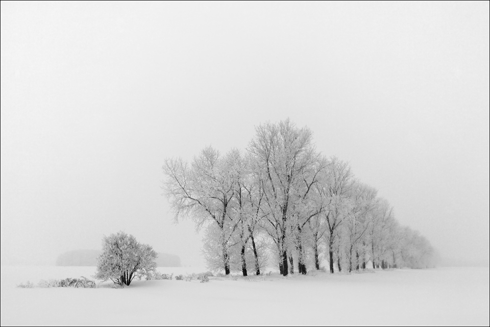 Der Weg der Stille